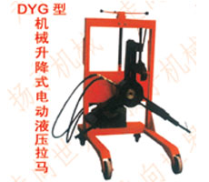 DYGϵʽֶ綯